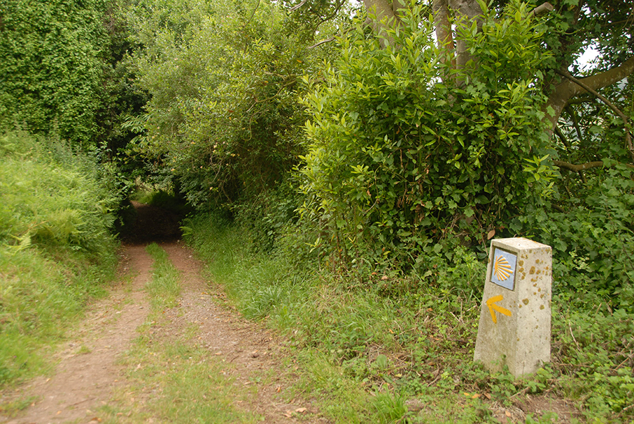 Camino de Santiago