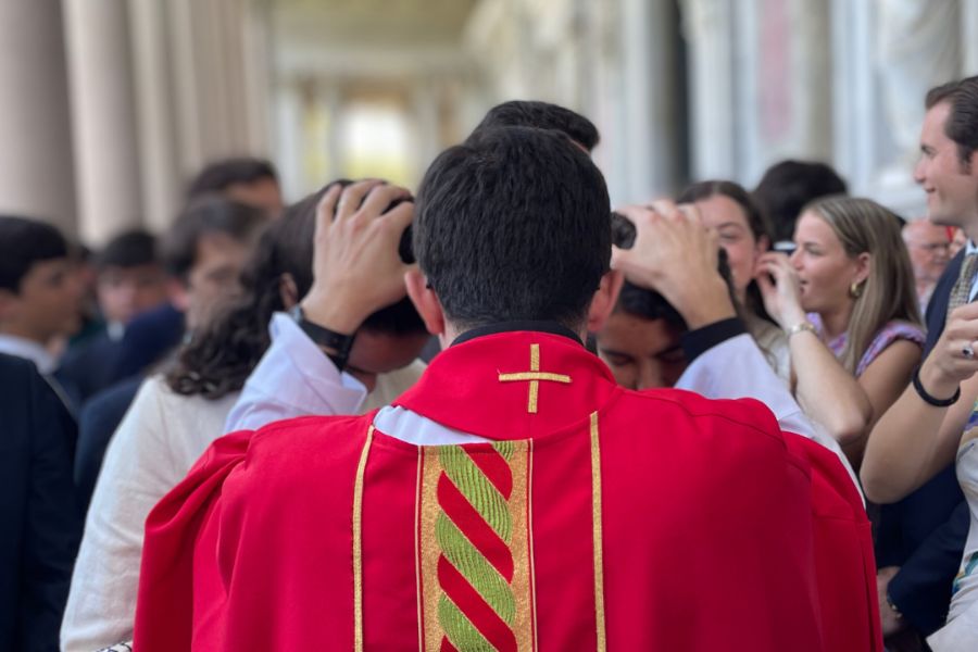 Fotogalerías ordenaciones