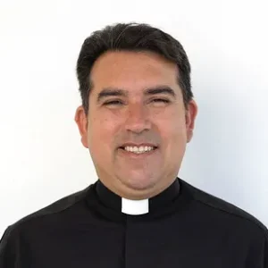 Imagen de P. Gabriel Guajardo, LC